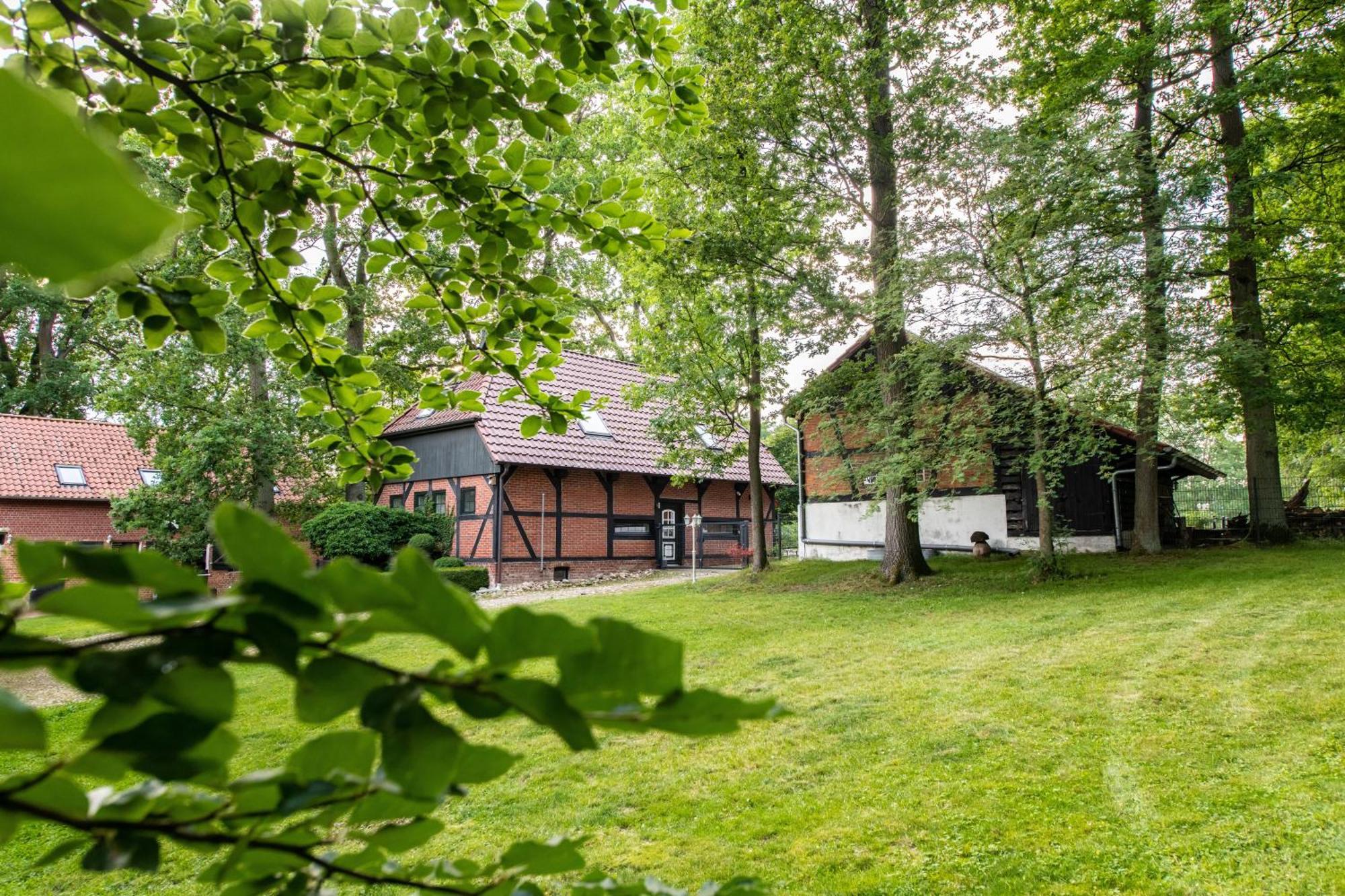 Apartament Traumhaftes Anwesen In Der Lueneburger Heide Soltau Zewnętrze zdjęcie